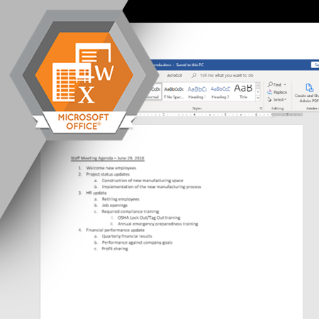 MSO-1014 Paragraph Formatting