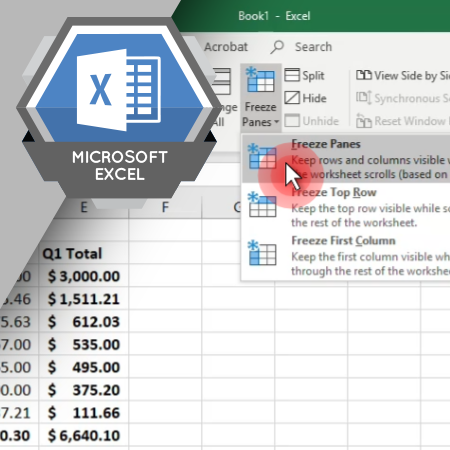 MSO-2004 Managing Worksheets