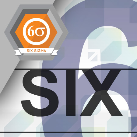 SIX-3001 Six Sigma and the Organization